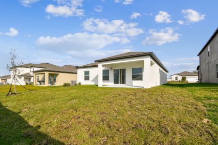 New construction Single-Family house 12193 Hilltop Farms Dr, Dade City, FL 33525 Sentinel- photo 159 159