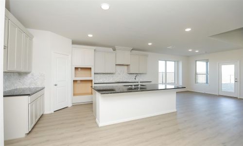 New construction Single-Family house 250 Cross Gable Ln, Dayton, TX 77535 plan Rosewood - image 5