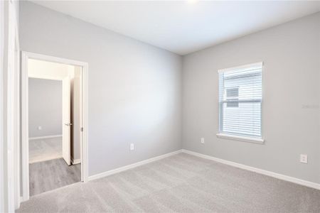 New construction Single-Family house 2646 Scenic Park Lp, Wimauma, FL 33598 plan Savannah - image 13