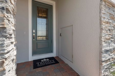 New construction Single-Family house 6829 Serpent Hawk Ln, Leesburg, FL 34748 Lopez- photo 32 32