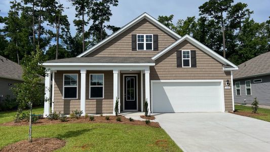 New construction Single-Family house 164 Bjorn Wy, Longs, SC 29568 plan Darby - image