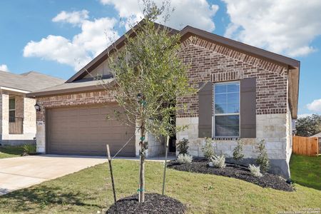 New construction Single-Family house 25916 Marigold Oaks, Boerne, TX 78006 Rio Grande- photo 15 15