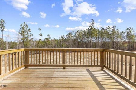 New construction Single-Family house 140 Baker Farm Dr, Youngsville, NC 27596 HAYDEN - DRHE- photo 27 27