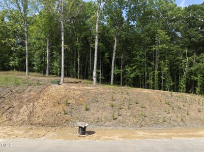 New construction Single-Family house 6820 Brixley Cir, Raleigh, NC 27614 - image 17