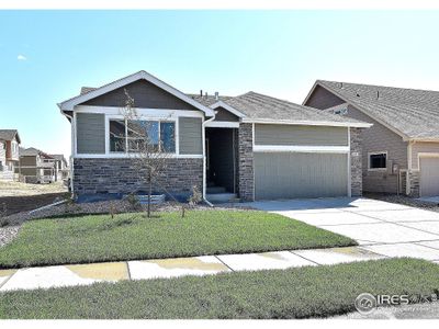 New construction Single-Family house 2313 Golden Way, Windsor, CO 80550 - photo 0