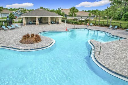 New construction Single-Family house 1304 Berry Ln, Davenport, FL 33837 null- photo 49 49