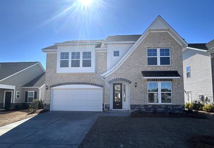 New construction Single-Family house 329 Haflinger Ln, Lexington, SC 29072 plan Edisto - image