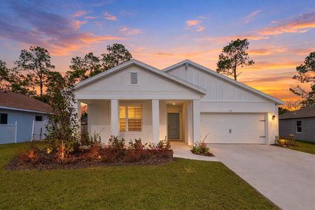 New construction Single-Family house 17 Birchwood Pl, Palm Coast, FL 32137 - image