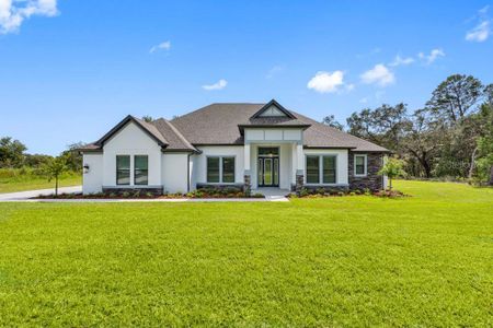 New construction Single-Family house 17521 Lippizan Ln, Hudson, FL 34667 - image