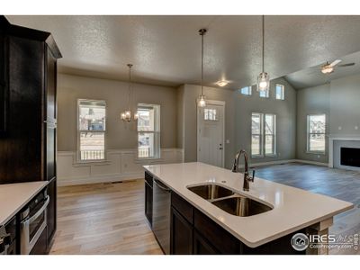 New construction Townhouse house 6235 Vernazza Way, Unit 4, Windsor, CO 80550 Duxbury- photo 2 2