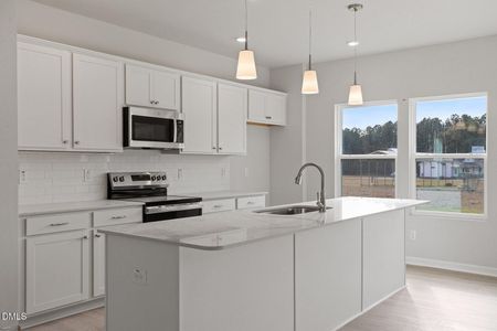 New construction Single-Family house 85 Osgood St, Angier, NC 27501 plan McDowell - image 7