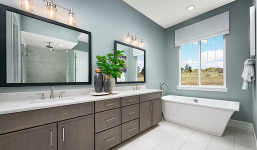 New construction Single-Family house 1167 Oleander St, Castle Rock, CO 80109 plan Holbrook - image 15