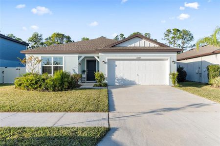 New construction Single-Family house 30399 Marquette Avenue, Wesley Chapel, FL 33545 - photo 0