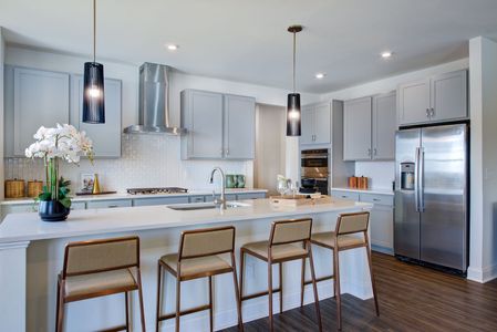 New construction Single-Family house 3245 Shannon Woods Ln, Apex, NC 27523 plan The Poplar - image