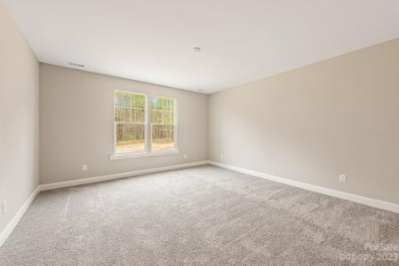 New construction Single-Family house 4024 Red Hill Way, Denver, NC 28037 null- photo 10 10
