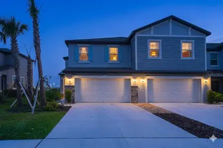 New construction Townhouse house 10059 Trumpet Honeysuckle Wy, San Antonio, FL 33576 - image