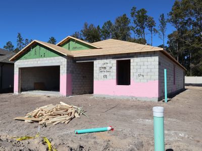 New construction Single-Family house 12945 Castle Oaks Dr, Hudson, FL 34669 plan Sentinel - image