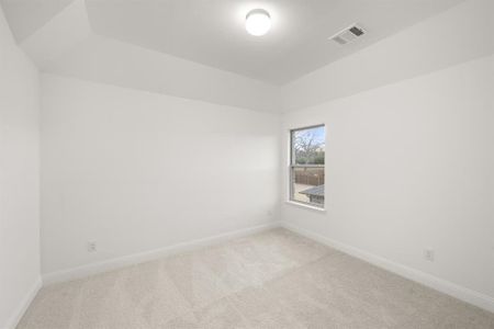 New construction Single-Family house 728 Stone Eagle, Azle, TX 76020 plan Willow - image 17