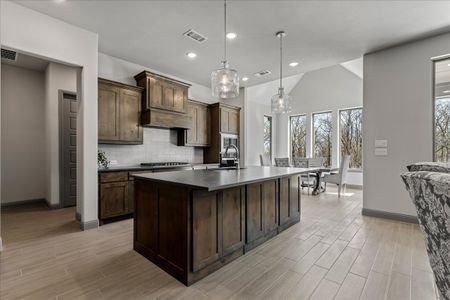 New construction Single-Family house 131 Spring Valley Rnch, Paradise, TX 76073 plan The Aylin - image 14
