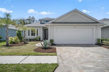 New construction Single-Family house 209 Hawthorn Ave, Palm Coast, FL 32164 - image