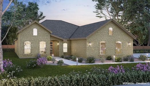 New construction Single-Family house Cedar Creek, TX 78612 plan The McKenzie - image 6