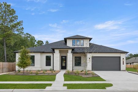 New construction Single-Family house 41813 Dalhart Dr, Todd Mission, TX 77316 plan Granbury - image