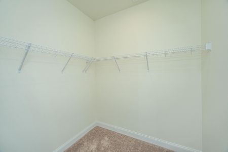 New construction Single-Family house 127 Augusta Pass Dr, Ridgeville, SC 29472 plan Adams - image 8