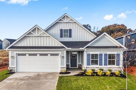 New construction Single-Family house 802 Martingale Cir, Fountain Inn, SC 29644 plan Palladio Ranch - image