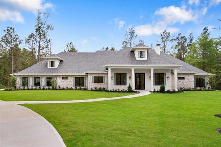 New construction Single-Family house 26041 Crown Ranch Blvd, Montgomery, TX 77316 - image