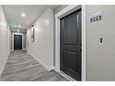 New construction Single-Family house 4210 Vulcan Creek Dr, Unit 206, Loveland, CO 80538 plan Stanford - image