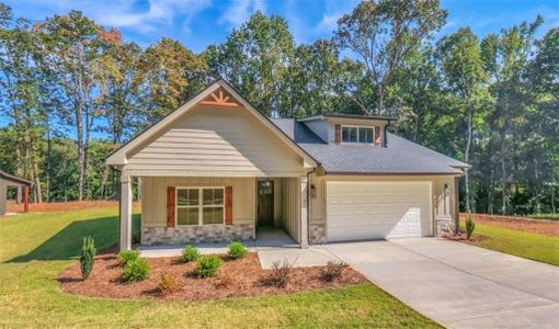 New construction Single-Family house 61 Hazel Ln, Bremen, GA 30110 - image
