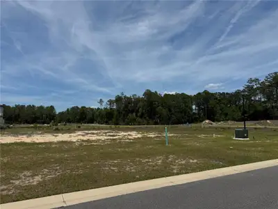 New construction Single-Family house 14772 Sw 11Th Pl, Newberry, FL 32669 - image 4