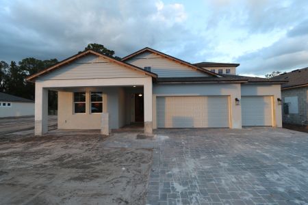 New construction Single-Family house 20243 Oriana Loop, Land O' Lakes, FL 34638 Corina  III Bonus- photo 77 77