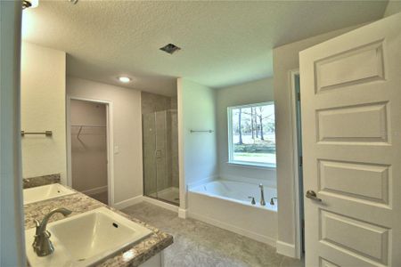 New construction Single-Family house 4024 Tullamore Ln, Auburndale, FL 33823 3000- photo 19 19