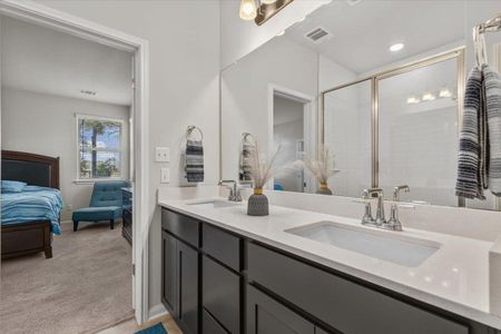 New construction Single-Family house 242 Reveille Dr, Kyle, TX 78640 plan The Dove - image 19