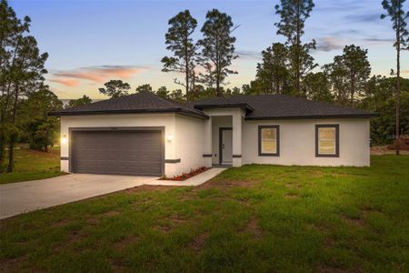 New construction Single-Family house 2565 W Laredo Dr, Citrus Springs, FL 34433 - image