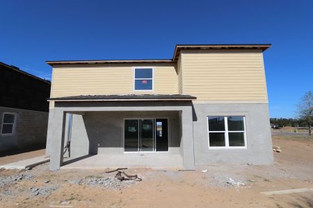 New construction Single-Family house 38350 Tobiano Loop, Dade City, FL 33525 Cabo- photo 65 65