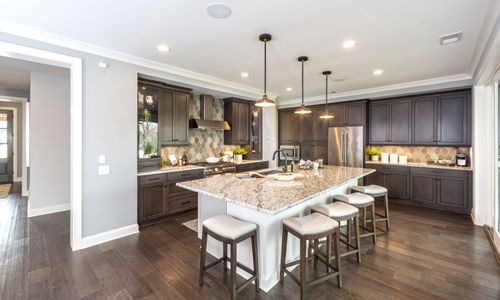New construction Single-Family house 19407 Youngblood Rd W, Charlotte, NC 28278 plan Coronado - image 7