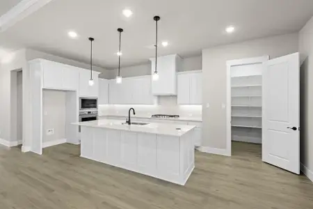 New construction Single-Family house 217 Raveena Blvd, Justin, TX 76247 plan Carmina - image 8
