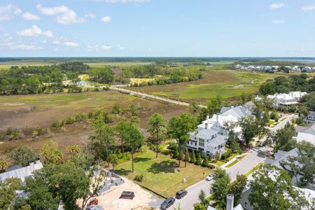 New construction Single-Family house 465 Lesesne Street, Charleston, SC 29492 - photo 15 15