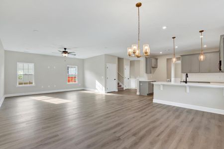 New construction Single-Family house 245 James Dr, Richmond Hill, GA 31324 plan Oscar Mulberry - image 13