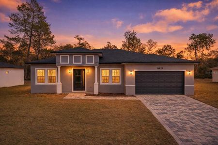 New construction Single-Family house 16831 Sw 39Th Cir, Ocala, FL 34473 - image