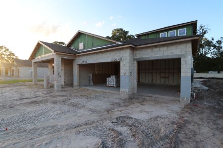 New construction Single-Family house 20243 Oriana Loop, Land O' Lakes, FL 34638 Corina  III Bonus- photo 43 43