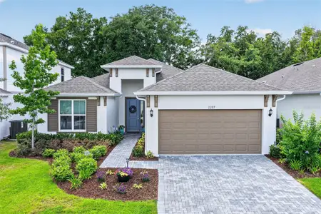 New construction Single-Family house 2289 Sirena Ln, Mount Dora, FL 32757 - image