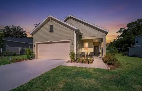 New construction Single-Family house 3902 Ne 30Th Ter, Ocala, FL 34479 - image