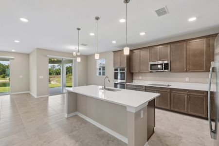 New construction Single-Family house 5800 Freesia Dr, Lakeland, FL 33811 plan Mira Lago - image 5