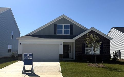 New construction Single-Family house 731 Clementine Run, Gilbert, SC 29054 plan Durham - image