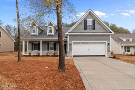 New construction Single-Family house 225 Telluride Ct, Aberdeen, NC 28315 - image