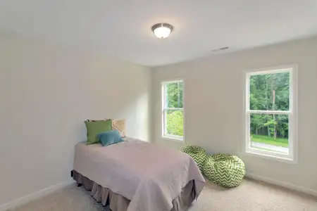 New construction Single-Family house 113 Cinnabar St, Clayton, NC 27527 plan Furyk - image 15