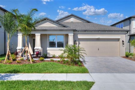 New construction Single-Family house 4794 Beachrose Way, Lakeland, FL 33811 Picasso- photo 0